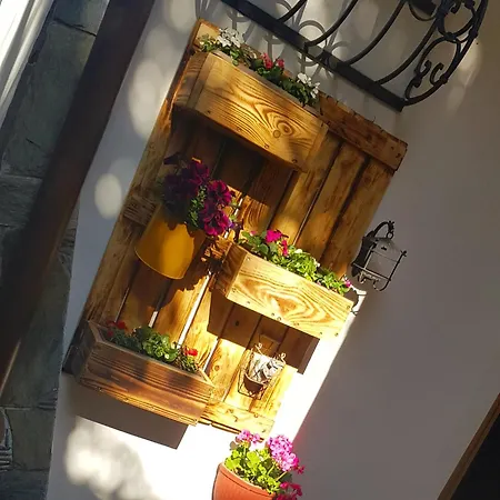 Casa Del Marinaio アパート *